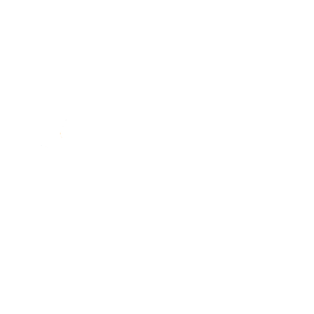 Alma Andina